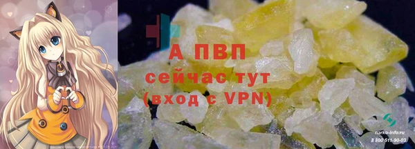 СК Дмитров