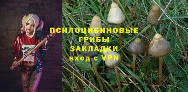 СК Дмитров