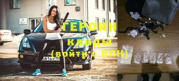 прущие грибы Ельня