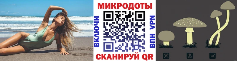 Купить закладки  Кирсанов  Псилоцибиновые грибы мицелий 